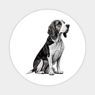 B&W Beagle Magnet